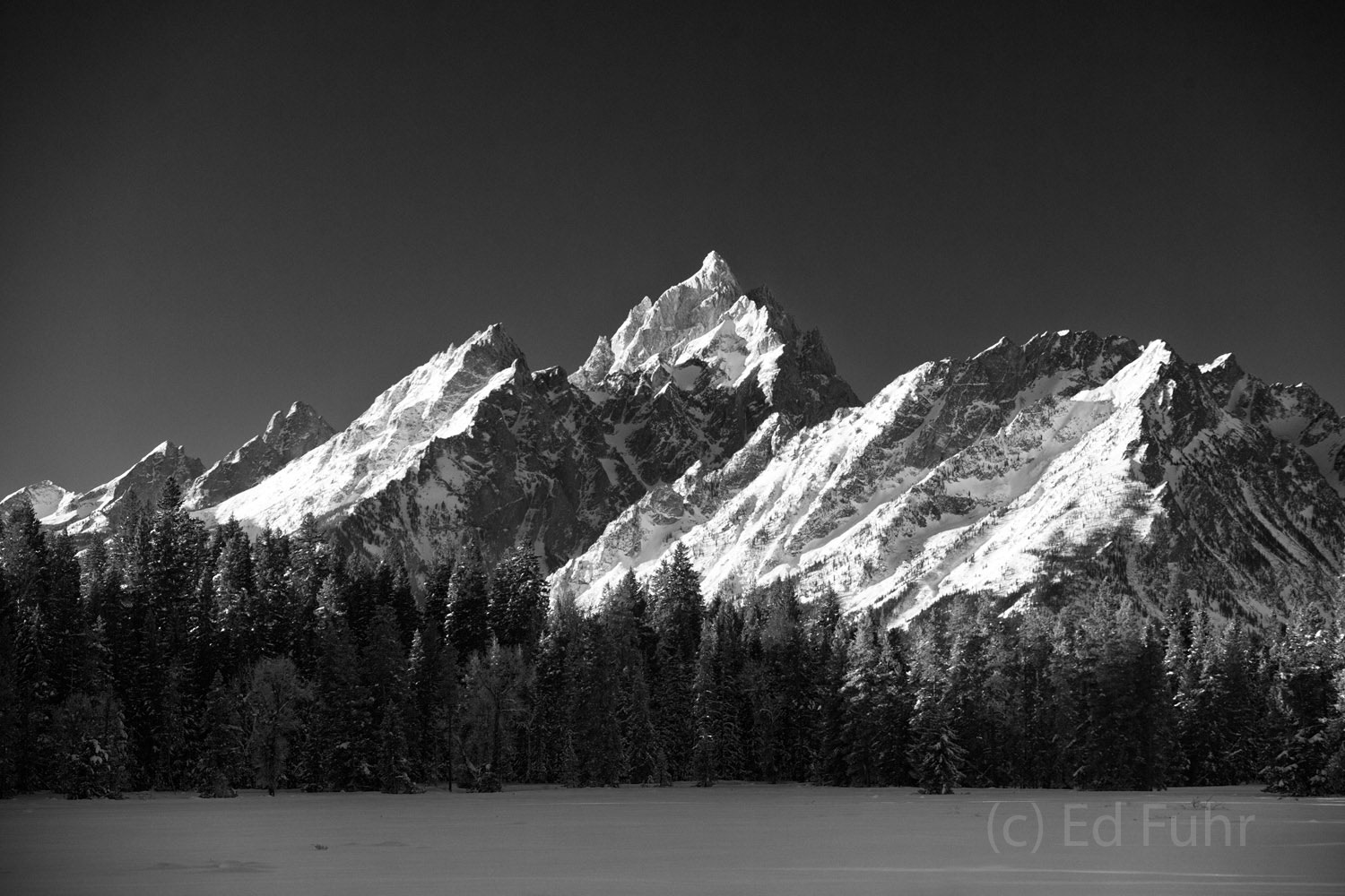 grand teton national park, winter, 2014, , Tetons, Grand Teton, black and white