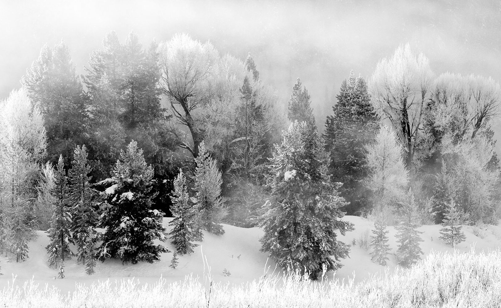 grand teton national park, winter, 2014,
