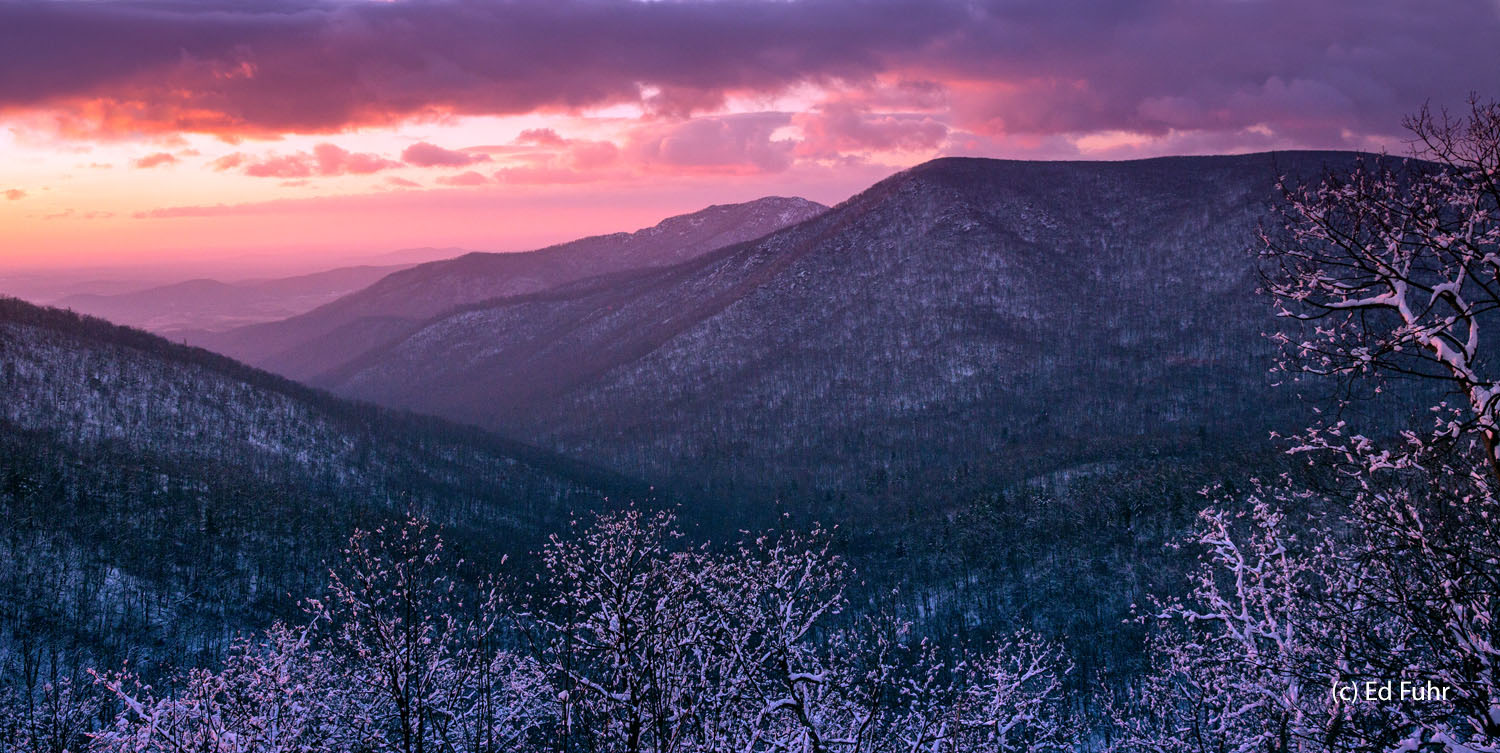 Winter Panorama, Old Rag Mountain Framed by snow covered branches, Old Rag mountain and Shenandoah's ridges recede in the distance of a new dawn.