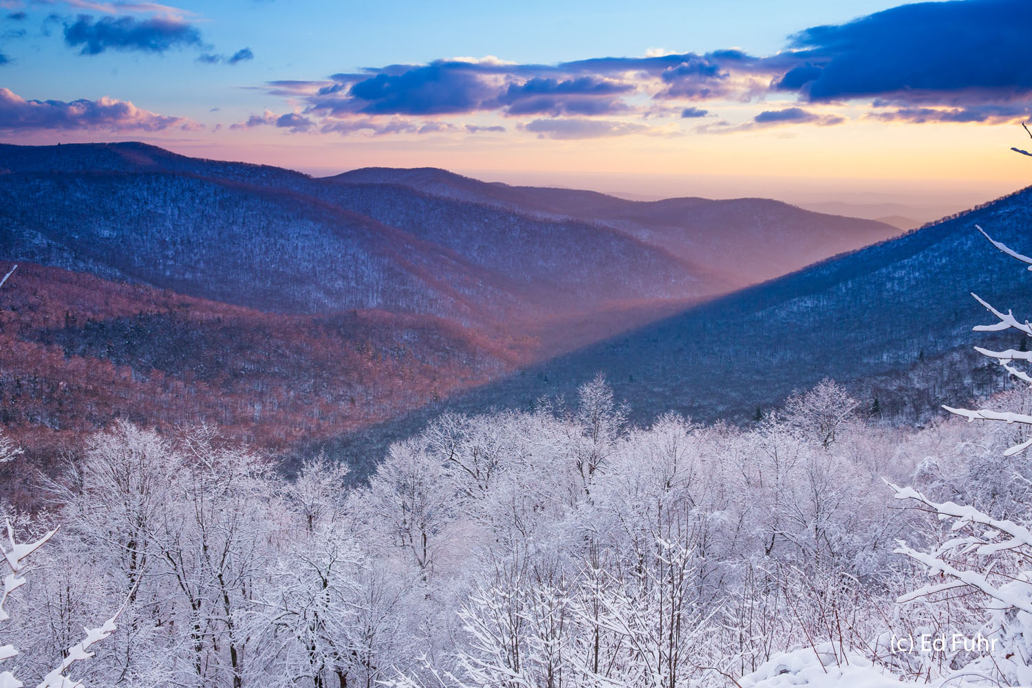 Winter View of the Piedmont Mountain ridge after mountain ridge rises to the east of Buck Hollow Overlook, which offers one of the best overlooks to witness...