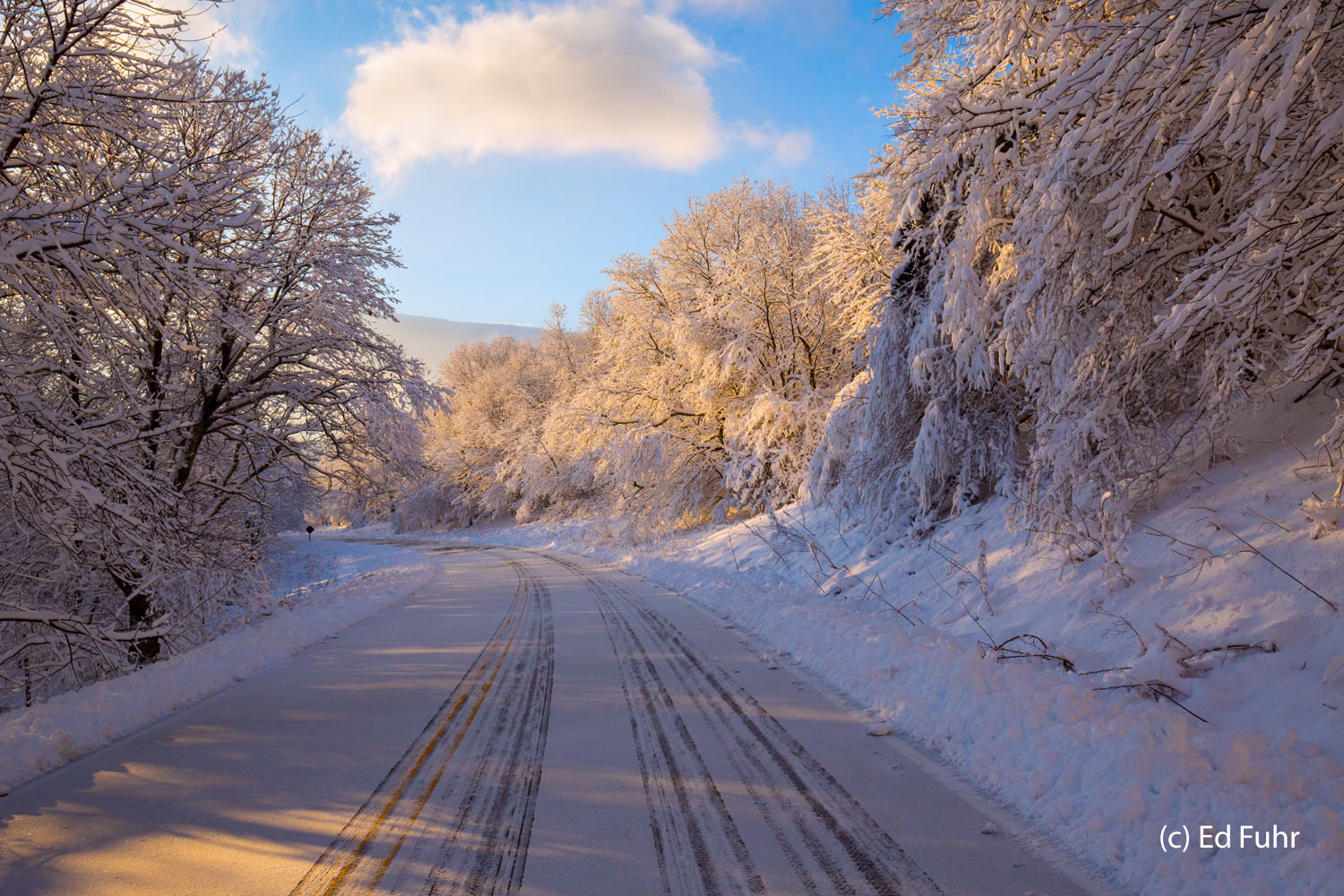 The morning sun greets the snow-covered trees alongside Skyline Drive this Friday dawn after Thanksgiving.  It is a powerful...