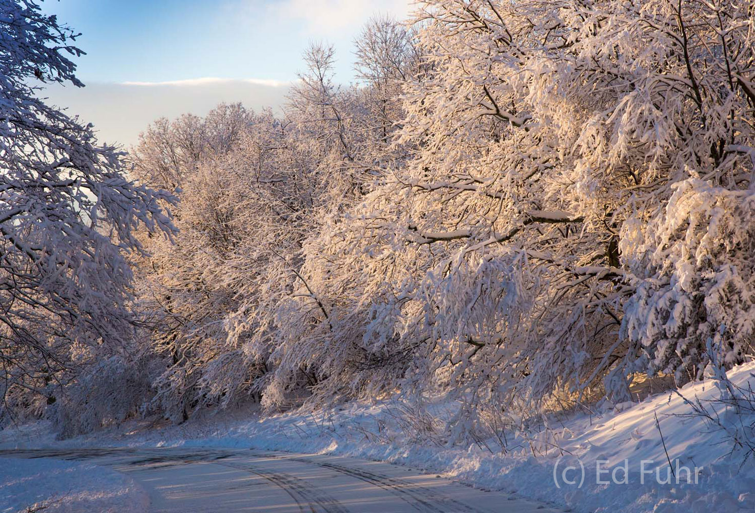 Around the Bend The pink glow of early morning warms as every branch bows along Skyline Drive under the heavy wet snow that has fallen overnight...