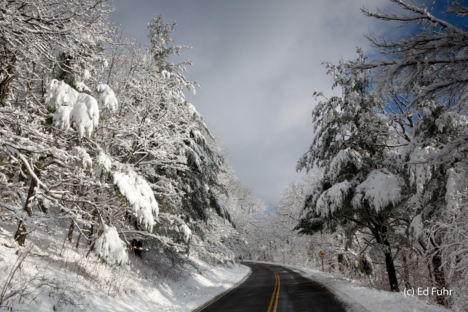 Decorated in a heavy wet snow, Skyline Drive is stunning and peaceful.  There are no cars, no sounds.  It is a time for quiet...