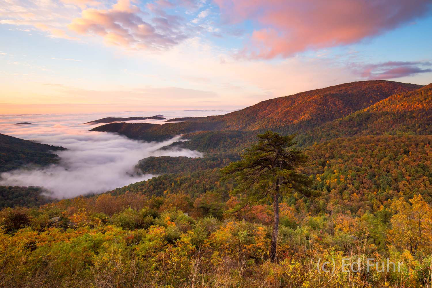 Bacon Hollow Sunrise When I think of the countless days and times traipsing through Shenandoah National Park, this morning always comes to mind as...