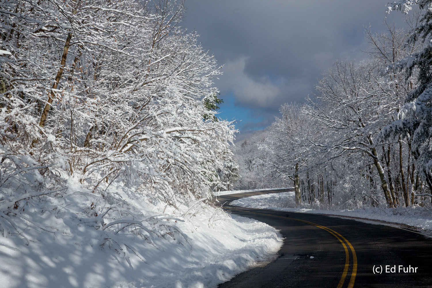 Solitude is not common on Skyline Drive except in winter when the only sounds are an occasional bird's call and the sound of...