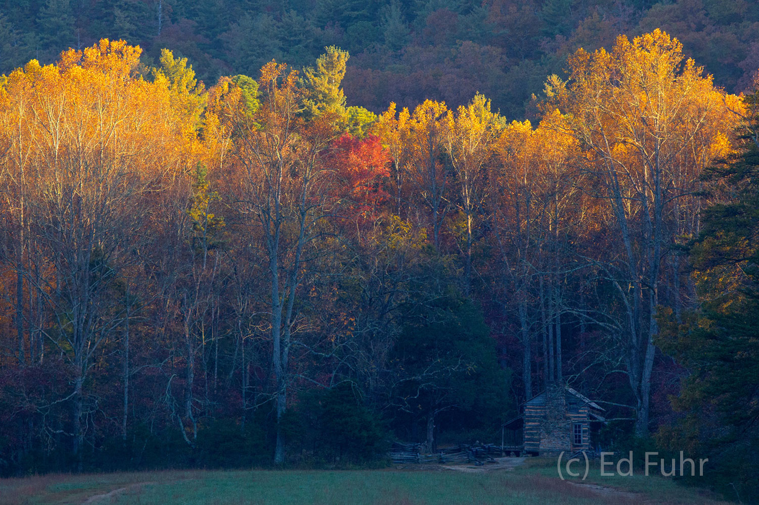 The last colors of autumn hang in the fading light of a late autumn afternoon.