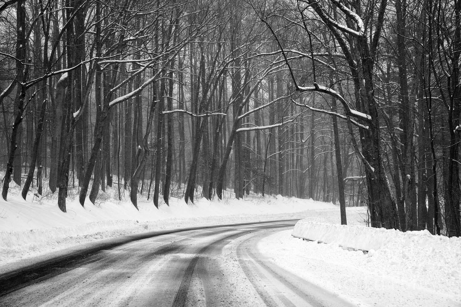 Deserted Skyline Drive has closed and only a few tracks remain as the snow gets ready to fall again.