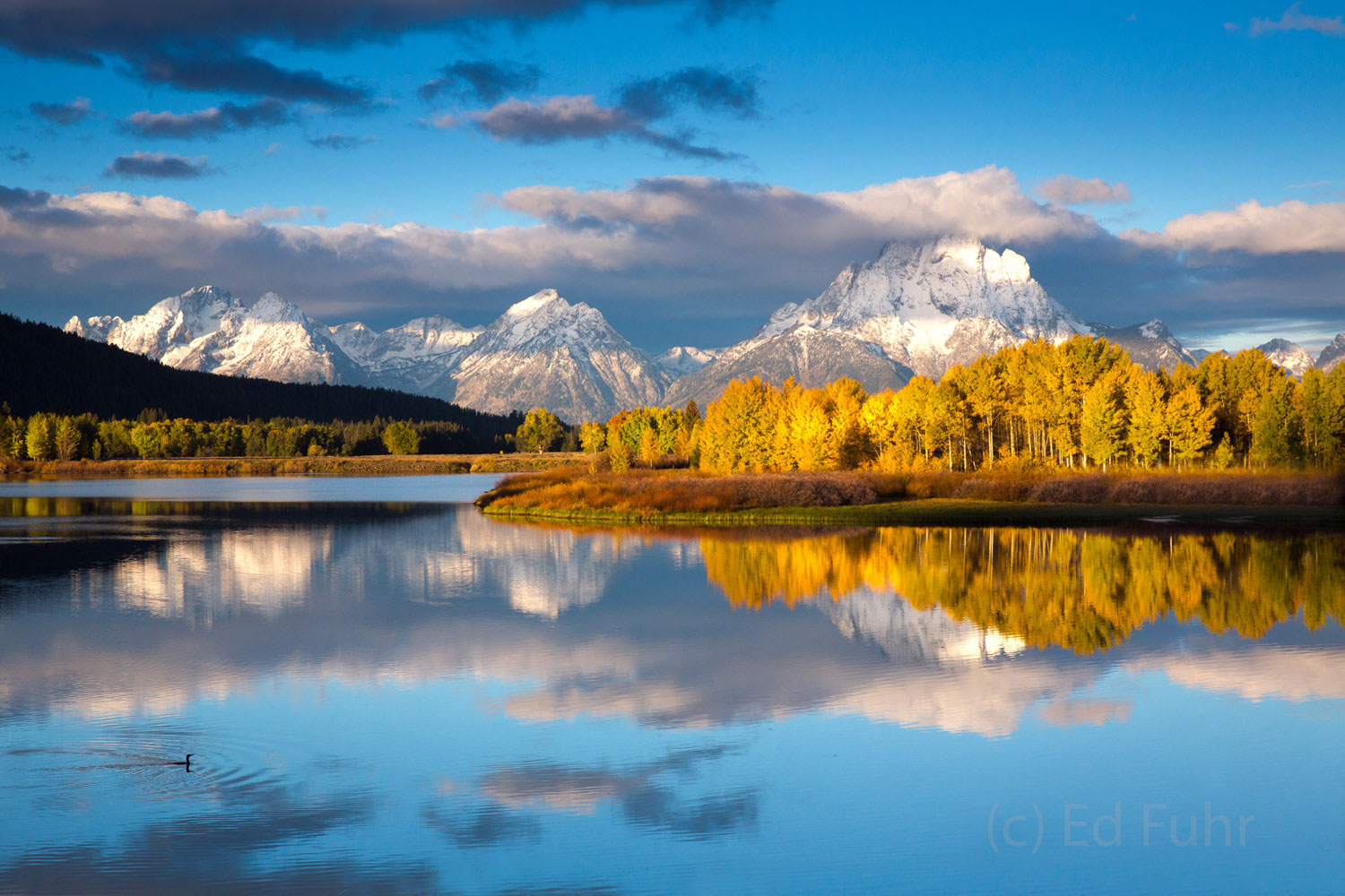 Hundreds of photographers captured a few final images of God's perfection, fresh snow and aspen's finest at Oxbow Bend, before...
