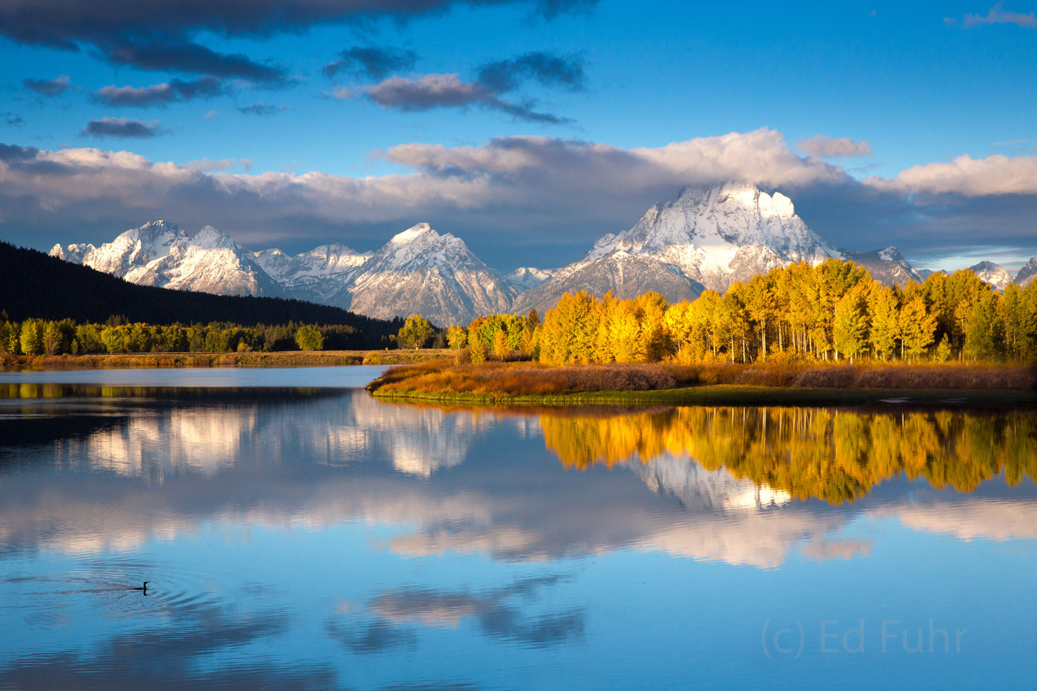 Oxbow Shutdown Hundreds of photographers captured a few final images of God's perfection, fresh snow and aspen's finest at Oxbow Bend, before...