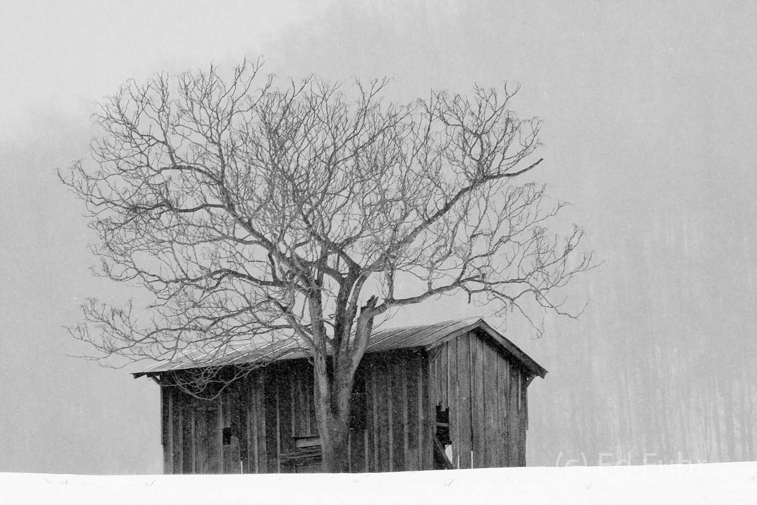 Winter Solitude on the Edge of Shenandoah National Park.