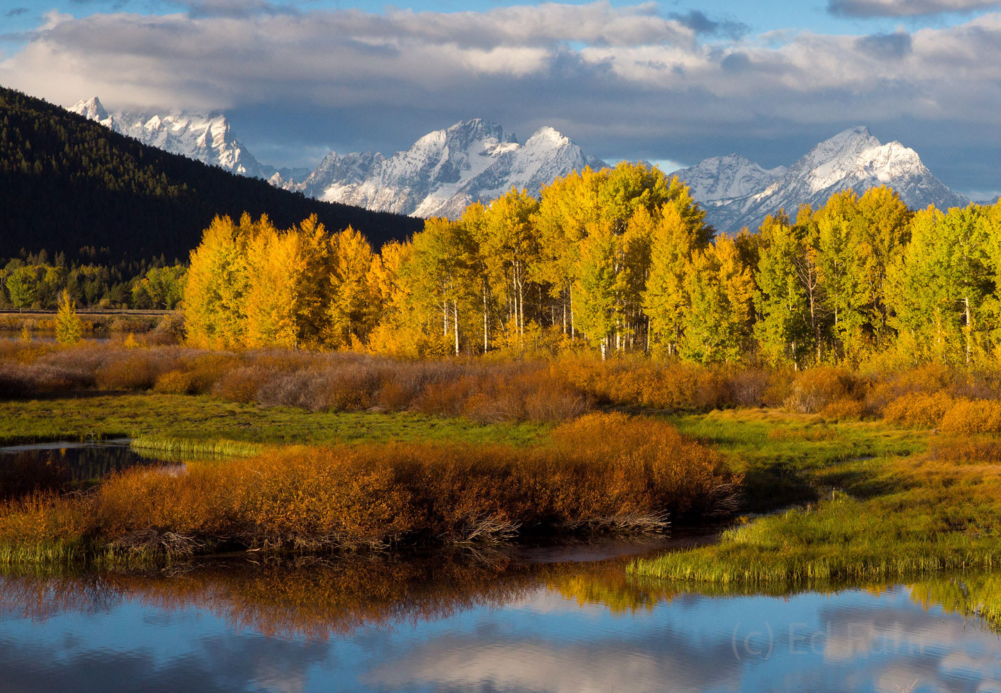 Russet willows, golden aspen, snow-covered Mt. Moran and a passing storm:  what a way to wake up!