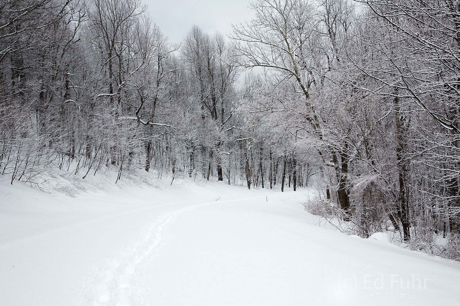 In winter, when the snow has fallen, Shenandoah is deserted.  It is a time to experience the silence and serenity of the Park...