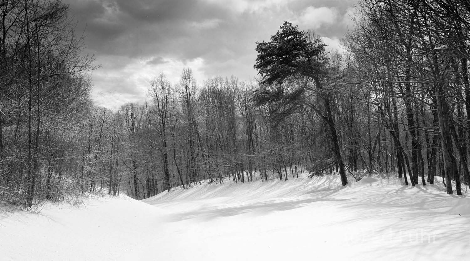 In winter, Skyline Drive is frequently closed due because of snow.  For those willing to embrace the elements, it is an enchanting...