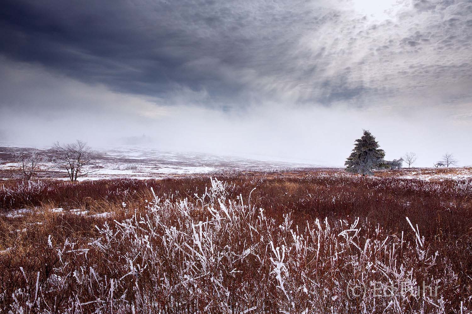 Perhaps my favorite image of Shenandoah National Park, indeed a large 45 inch image of it hangs in my home.  A heavy ice storm...