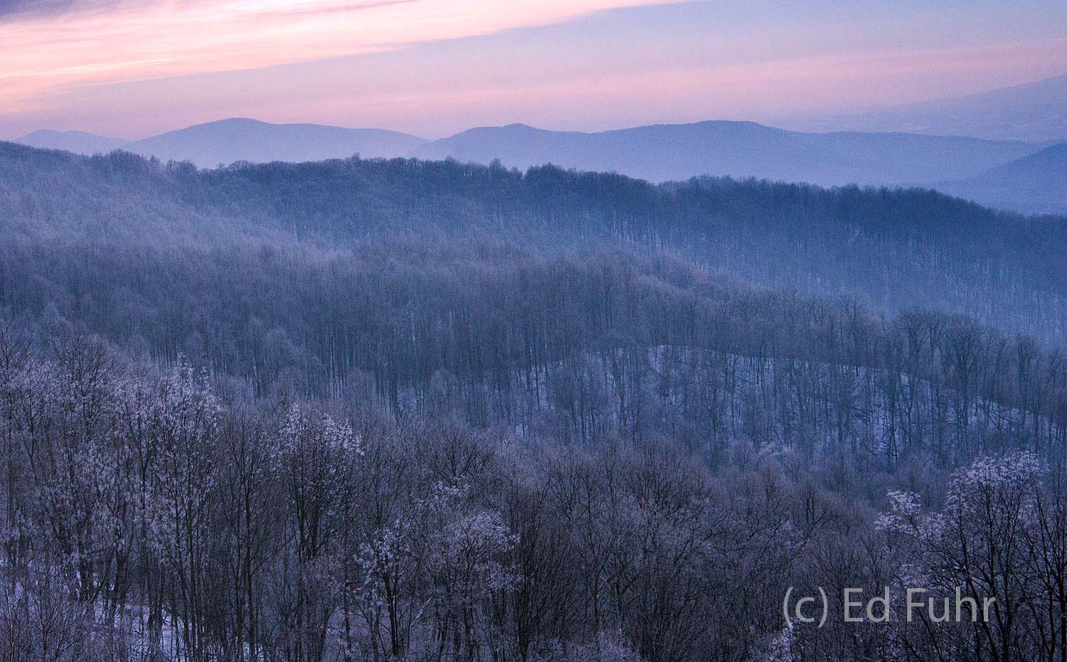 A light snow has fallen and coated the trees below as the fading light of early winter paints the mountain in purple splendor...