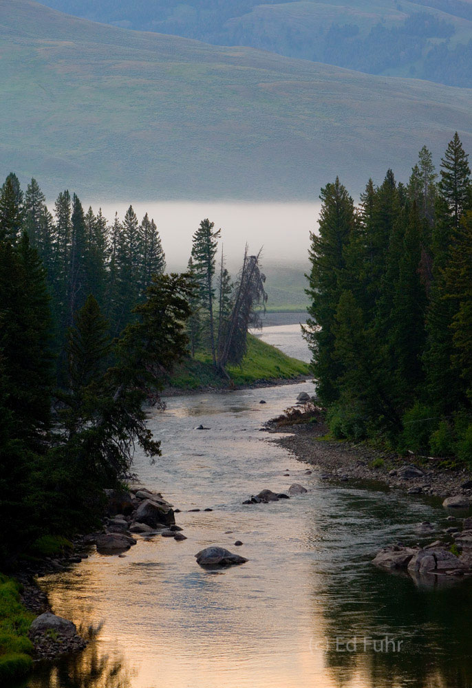 A small chute in the Yellowstone River as it enters the Lamar Valley is particularly picturesque.