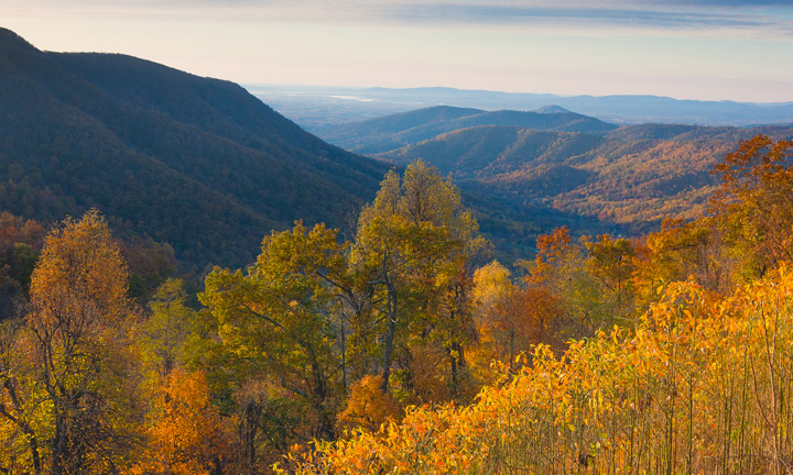 Peak colors sometimes lasts only a few days atop Shenandoah National Park. &nbsp;But during those days, the park is radiant.&...