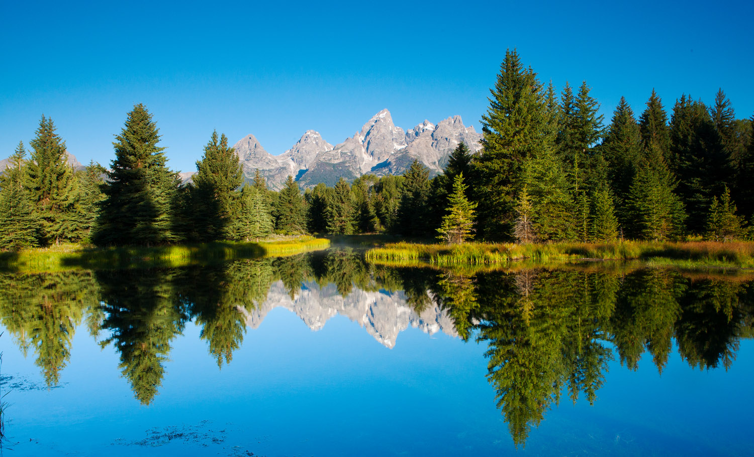 Early morning at the most photographed beaver pond in America.&nbsp;