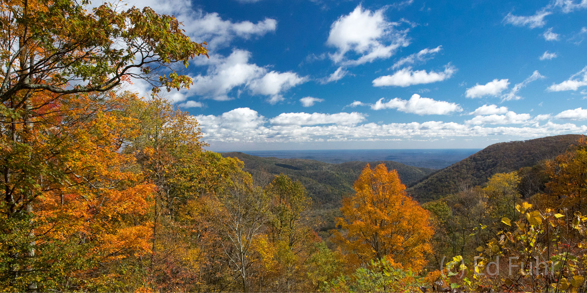 Autumn Panorama 2016 A colorful bouquet of oranges, reds and yellows transform this vista into one of the finest autumn views in Shenandoah, but you...