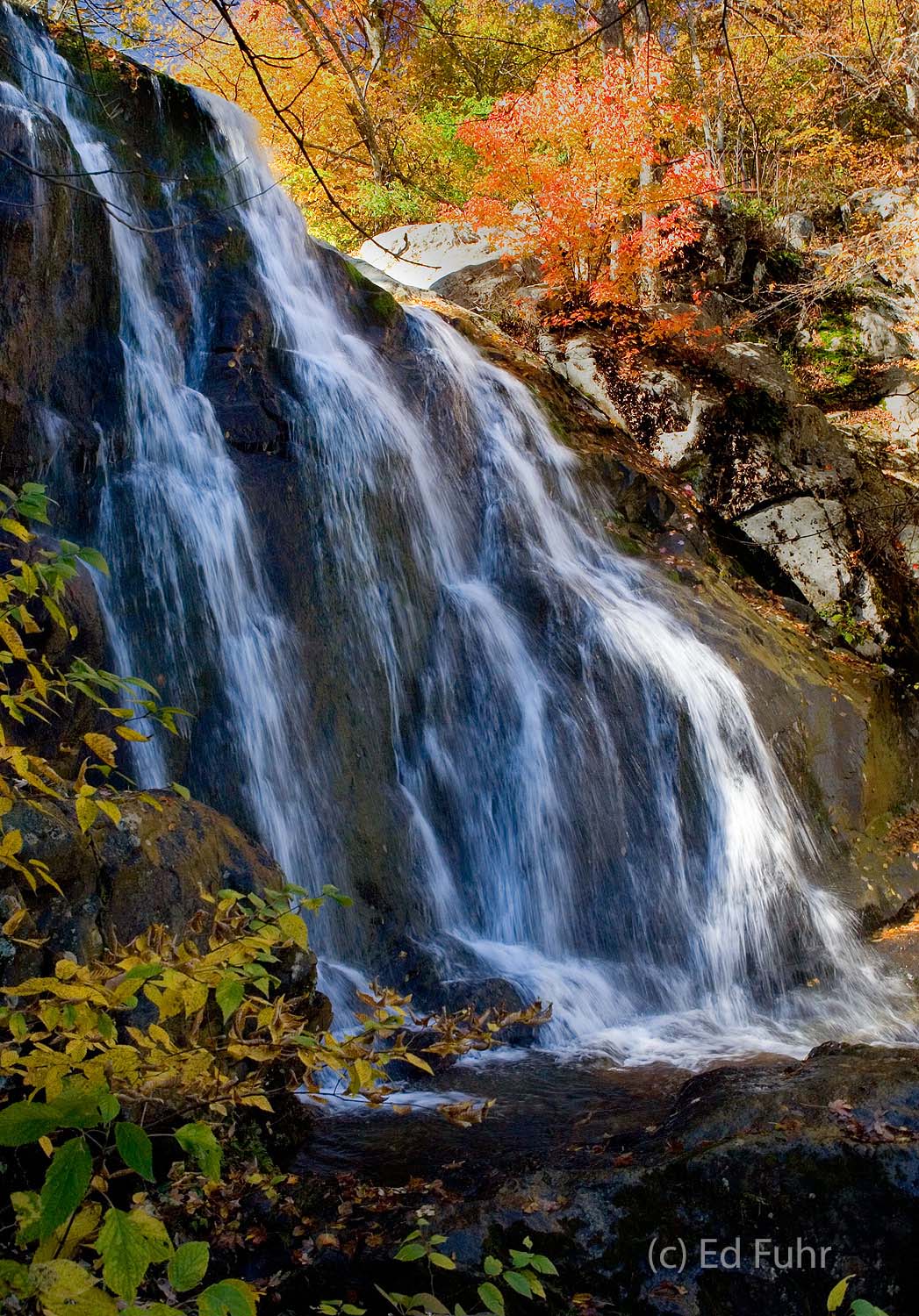 Fall's plumage paints a colorful scene at Dark Hollow Falls.