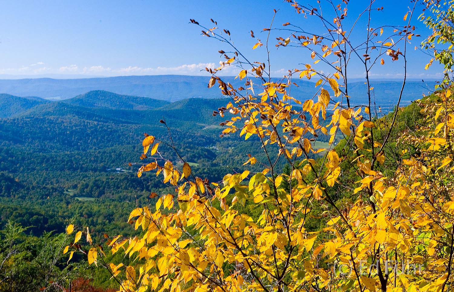 Shenandoah Fall Overlook | Shenandoah National Park | Ed Fuhr Photography