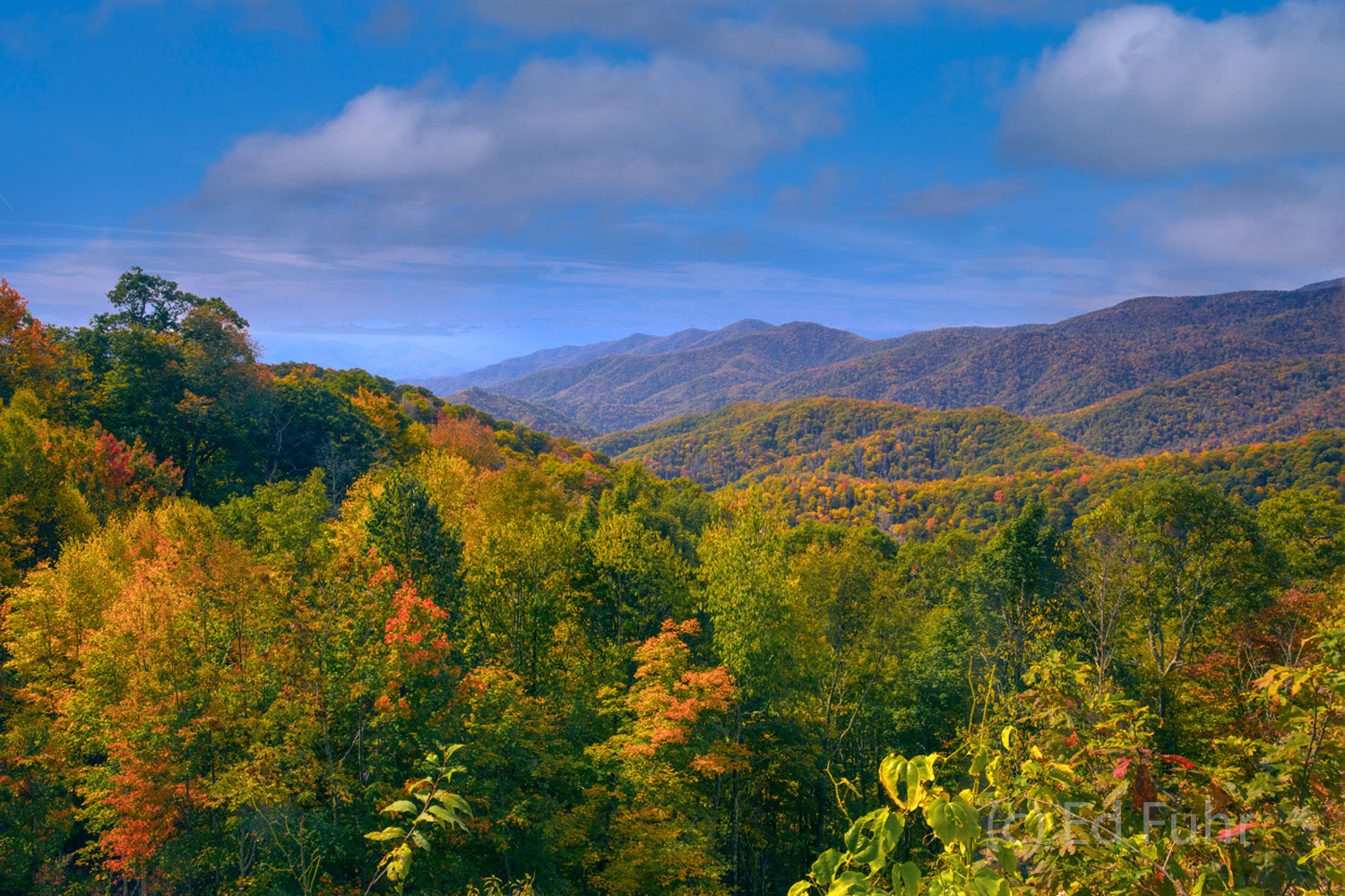 Autumn's colorful parades gradually flows down the high mountain slopes in the northeast corners of the Great Smoky Mountains...