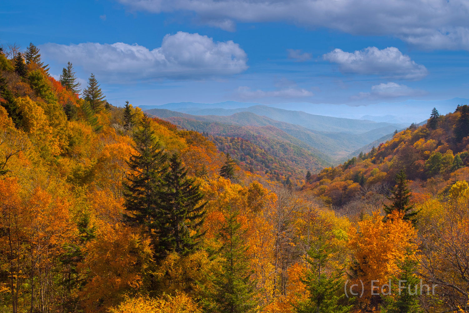 In every season Newfound Gap offers a stunning panorama to the east but perhaps no season is quite as dramatic as October when...