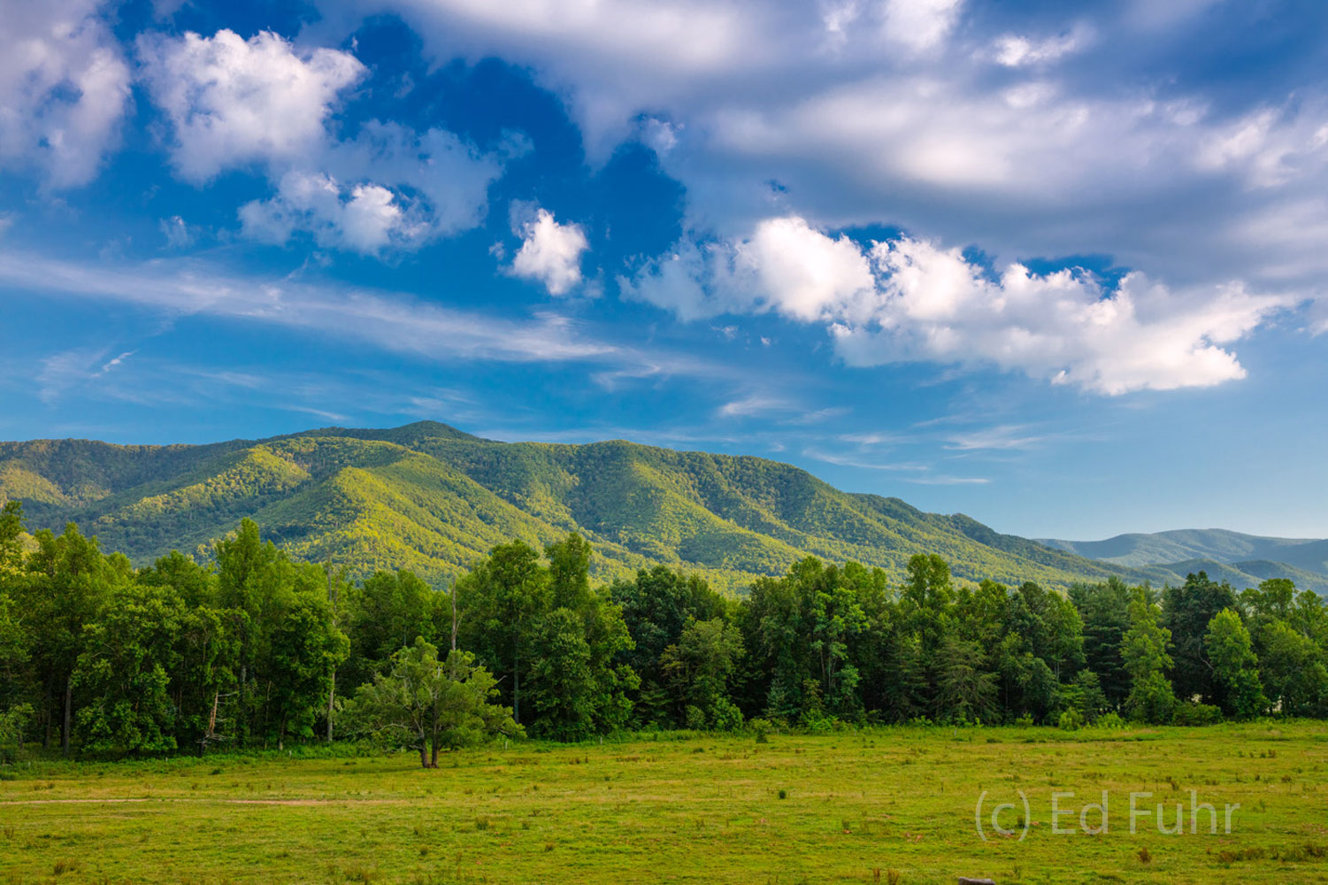 A vibrant spring day in Cades Cove with views that stretch for miles.