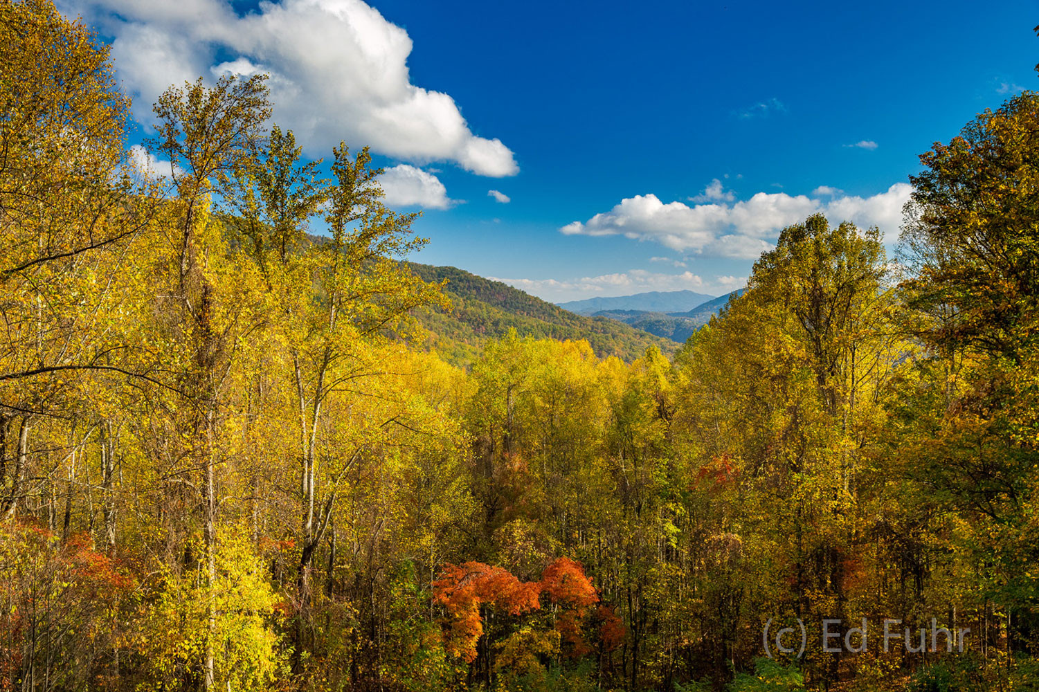 Mahoney Overlook offers colorful autumn views to east.