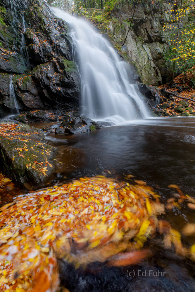 Autumn leaves swirl in the waters below Spruce Flats falls.