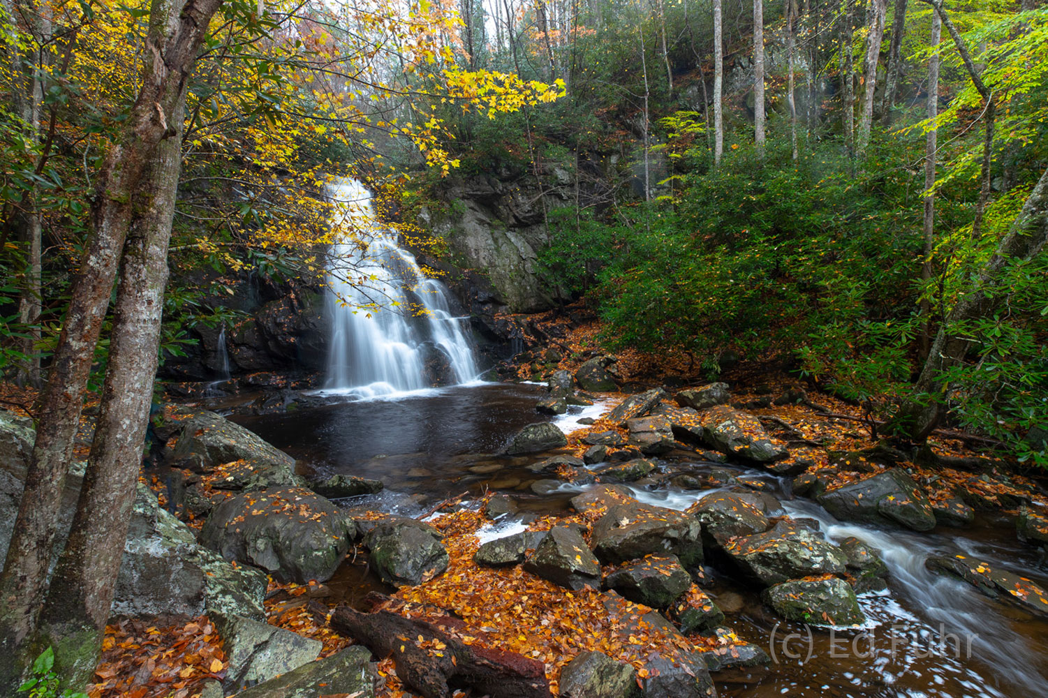 Few waterfalls are more special than Spruce Flats, especially after a good rain on an autumn day.