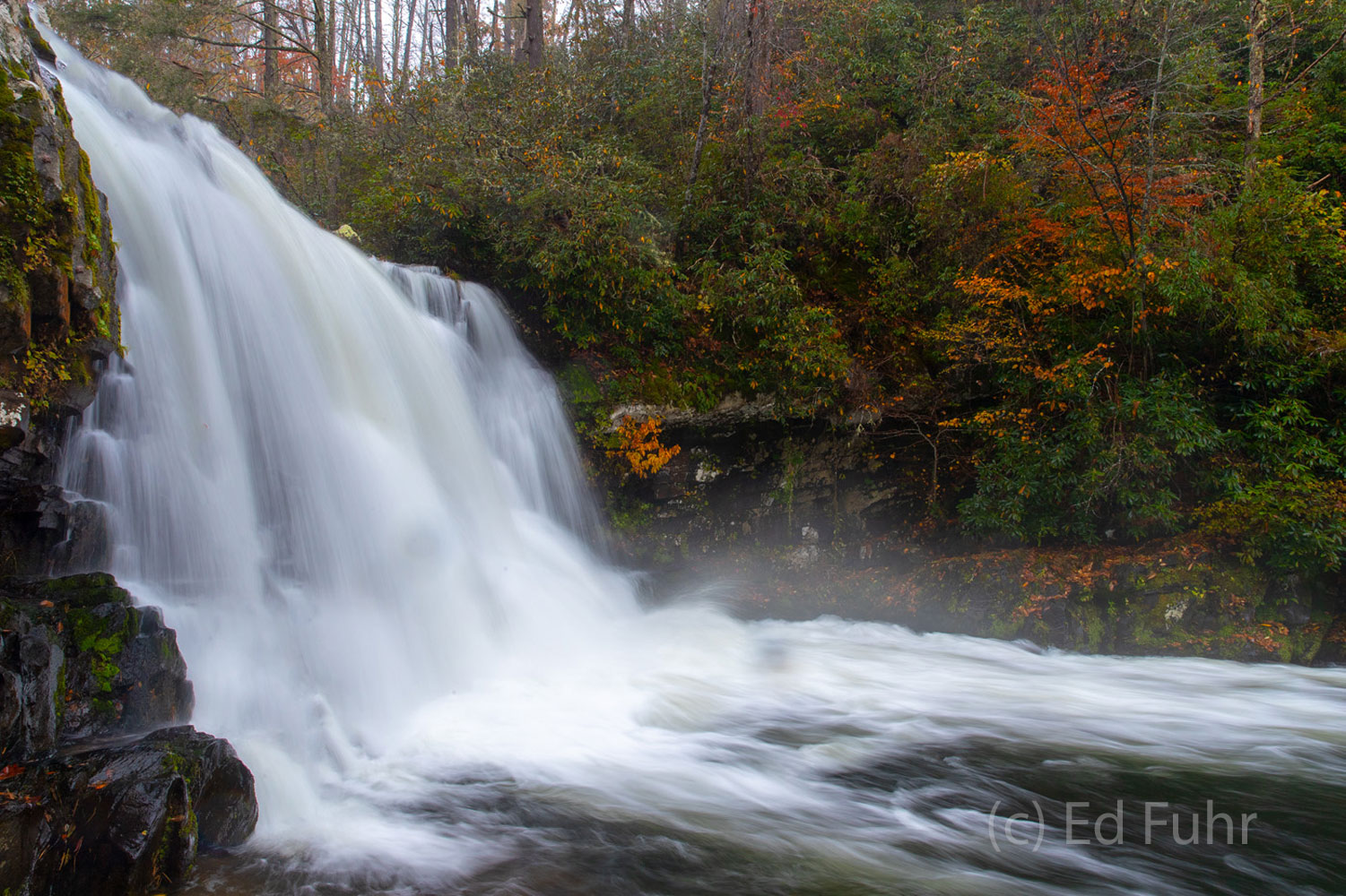 Heavy autumn rains have brought new energy to Abrams Falls and turned this popular hike into a beautifully quiet and tranquil...