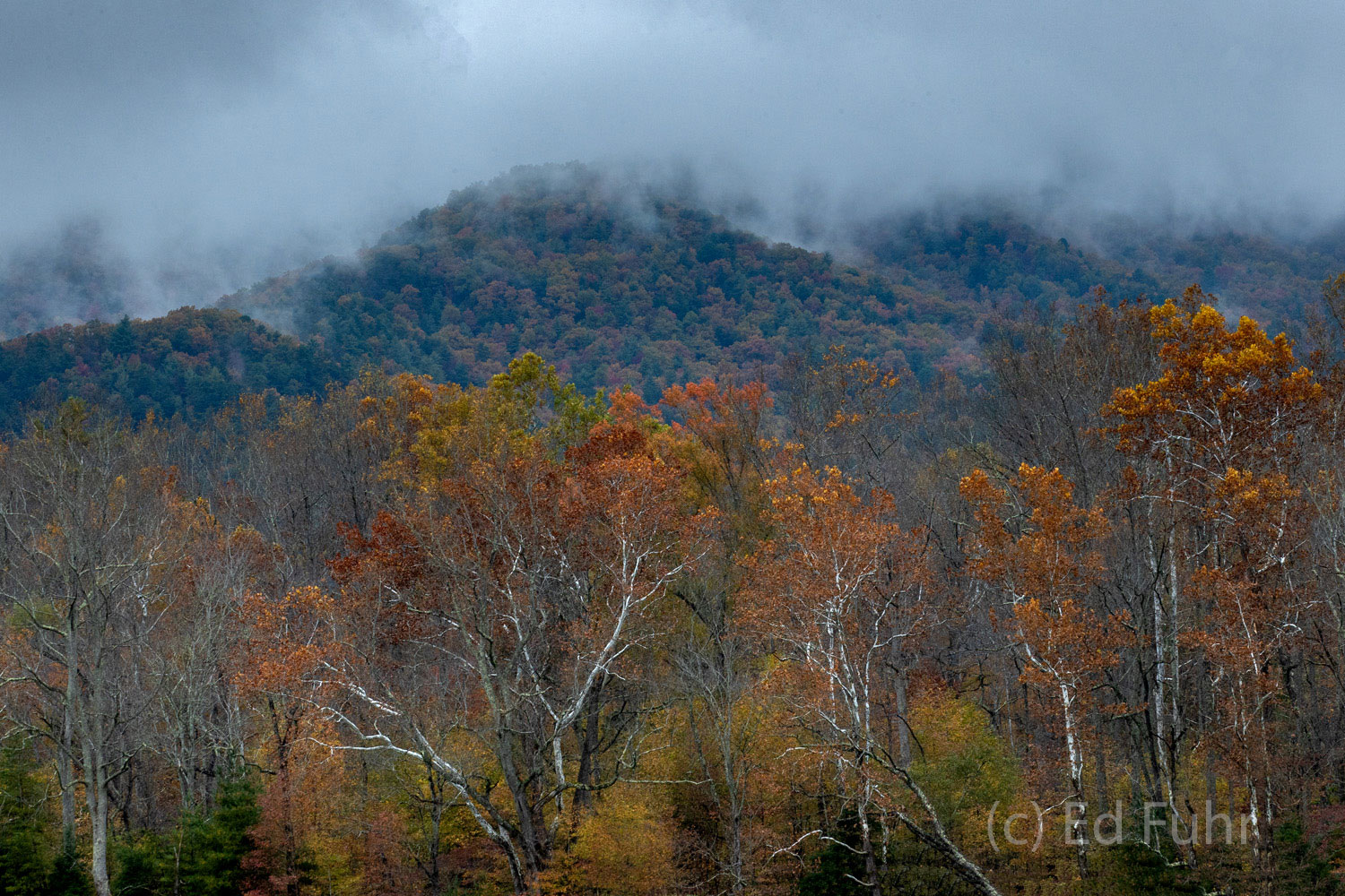 Darkening clouds rise above the mountain ridges in Cades Cove as fall's final colors begin to fade.