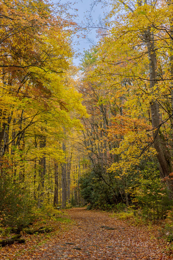 autumn, Great Smoky Mountains, national park,