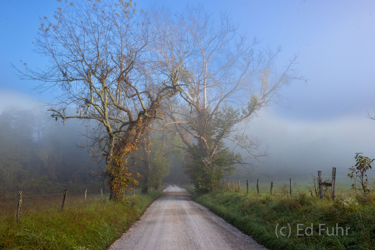 Clearing Fog on Sparks Lane The early fog of a new day gradually lifts above Sparks Lane.