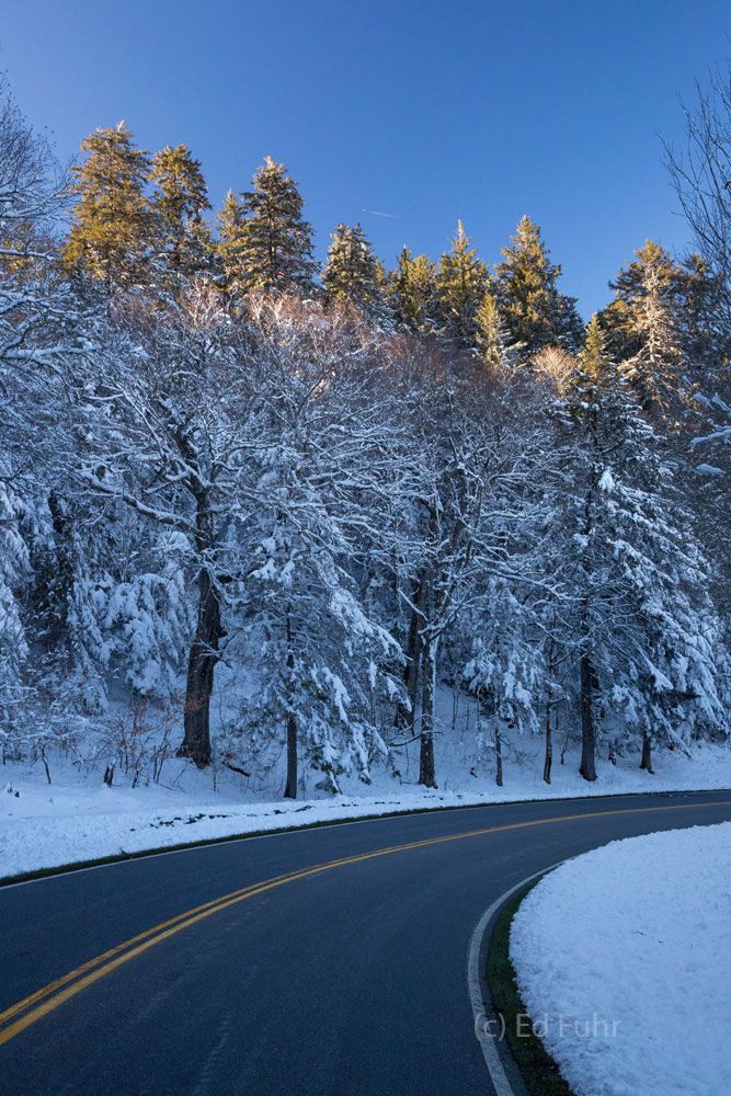 A spring snow storm has passed and the last rays of twilight catch the treetops above Newfound Gap, Great Smoky Mountains, 2017...