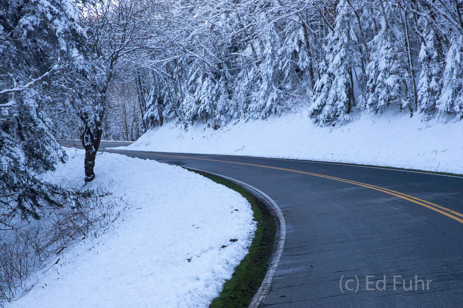 Around the Bend, Great Smoky Mountains A beautiful evening for a drive across the highest regions of Great Smoky Mountains National Park, with a few inches of fresh...