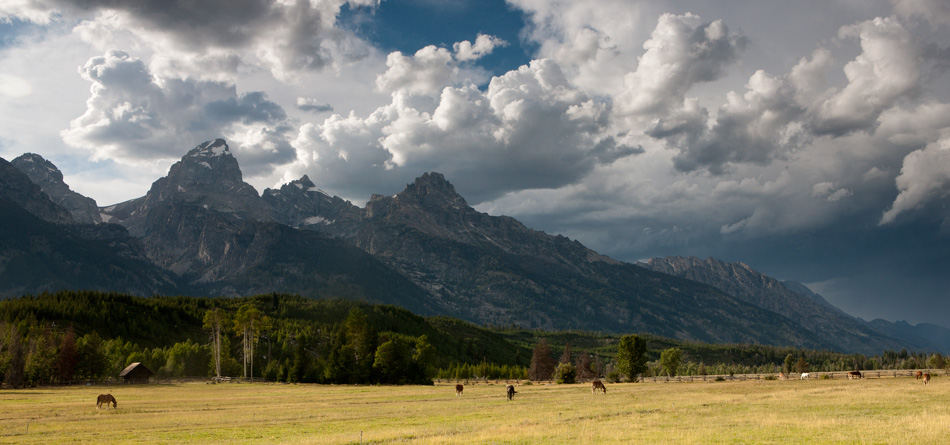 A late summer thunderstorm builds over the Tetons.&nbsp;