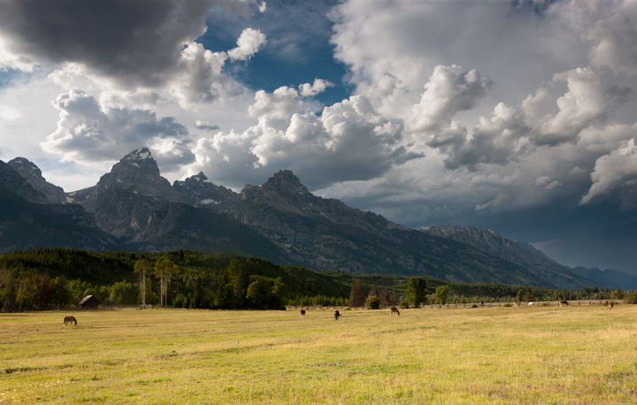 Horses graze peacefully in this field even as a thunderstorm gathers over the Grand Tetons. &nbsp;&nbsp;