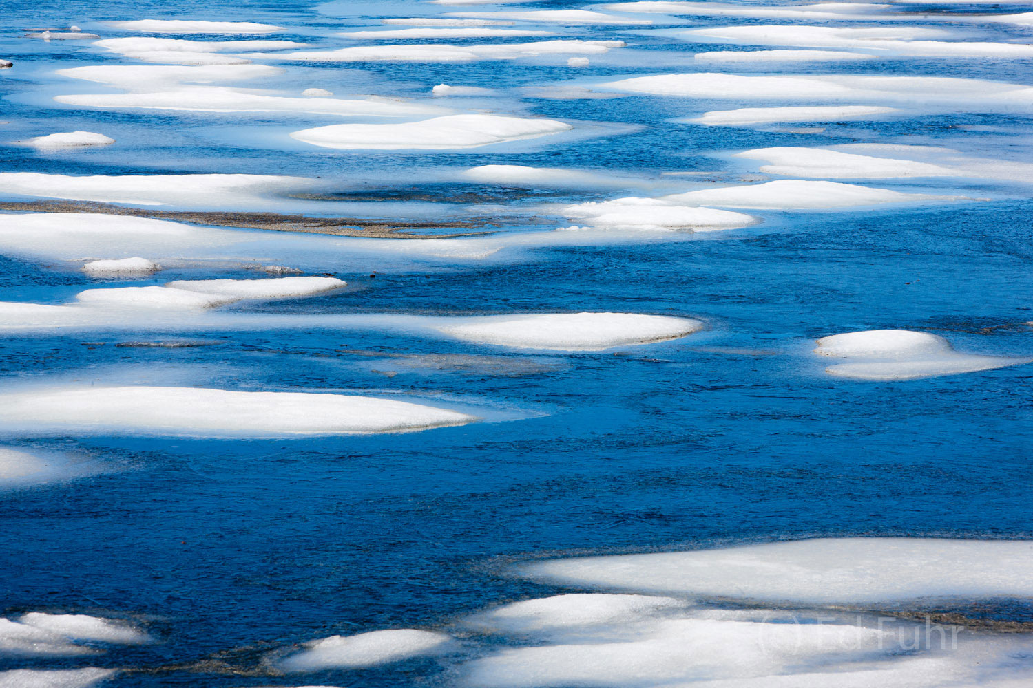 The ice that has gripped Tenaya Lake melts at last into thousands of ice floes in early June.