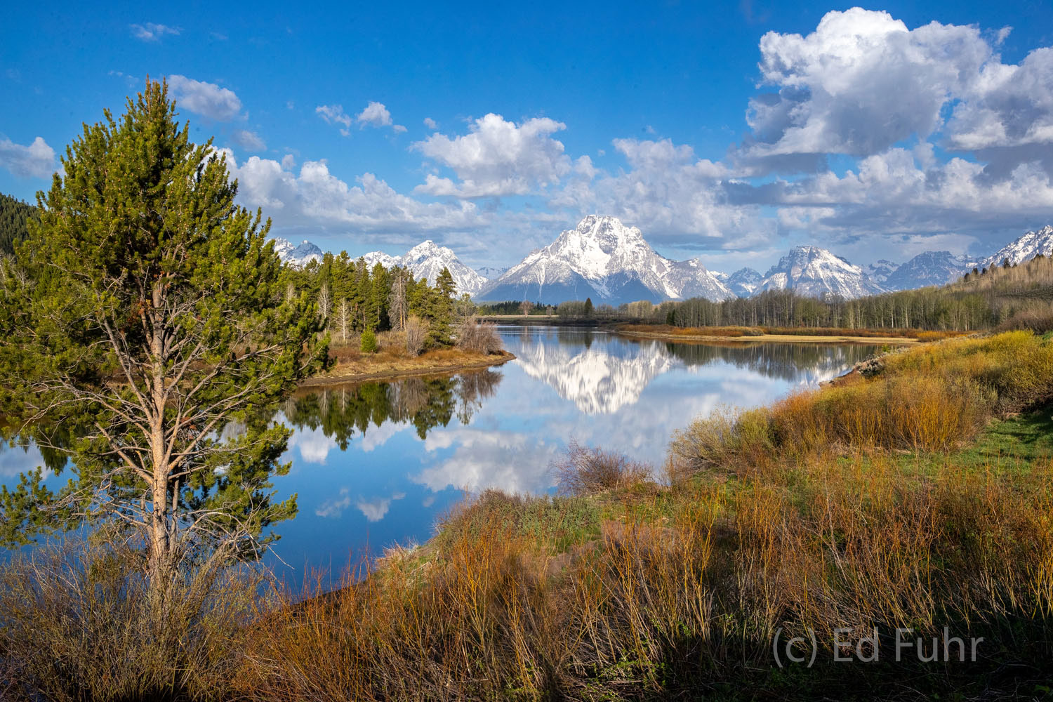 Spring Morning on Oxbow Bend Spring has thawed the slow-moving waters at Oxbow Bend but the willows and shrubs along the shore need a few more weeks before...