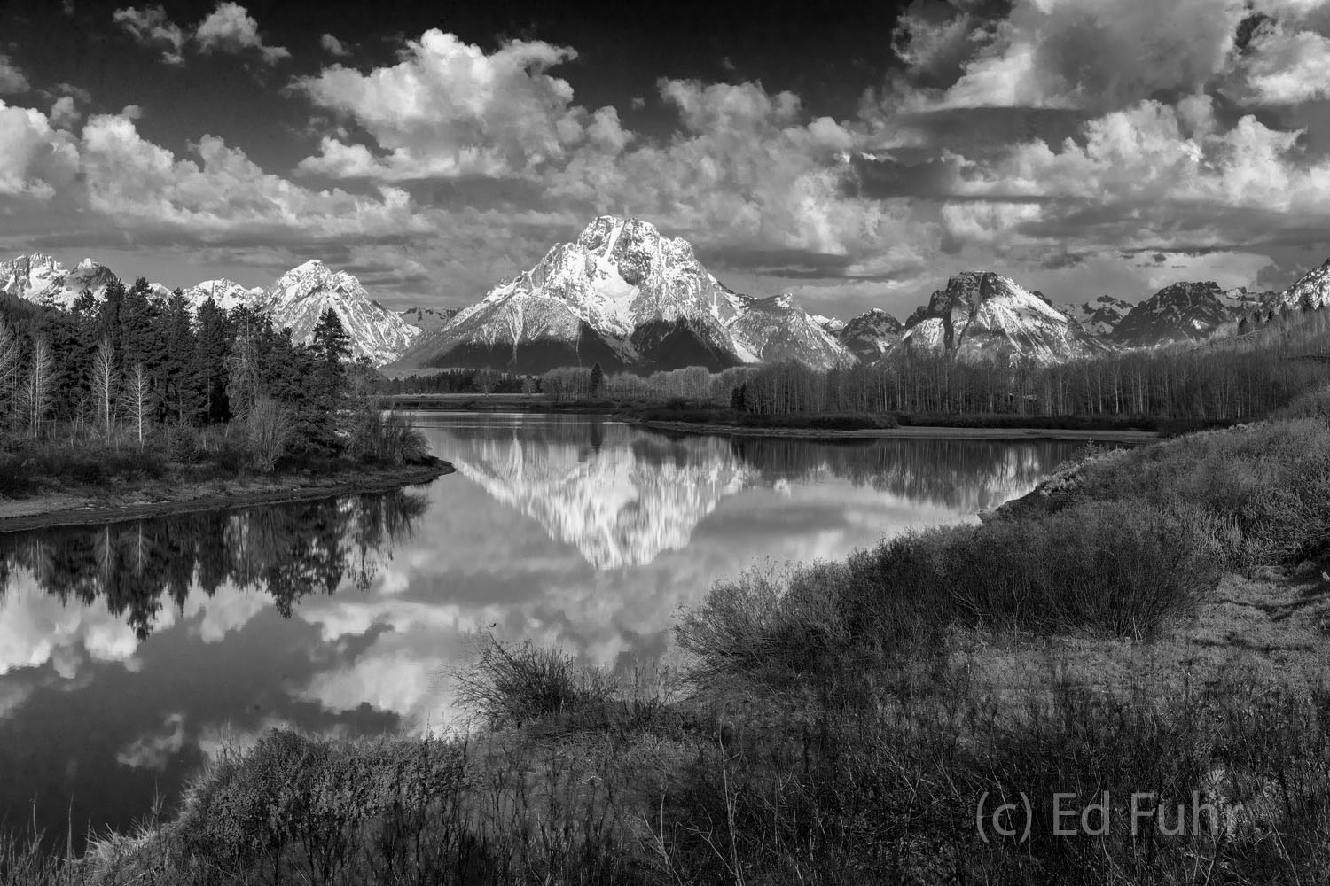 One of the great vistas in any of our National Parks, Oxbow Bend is as stunning in black and white as it is in color.