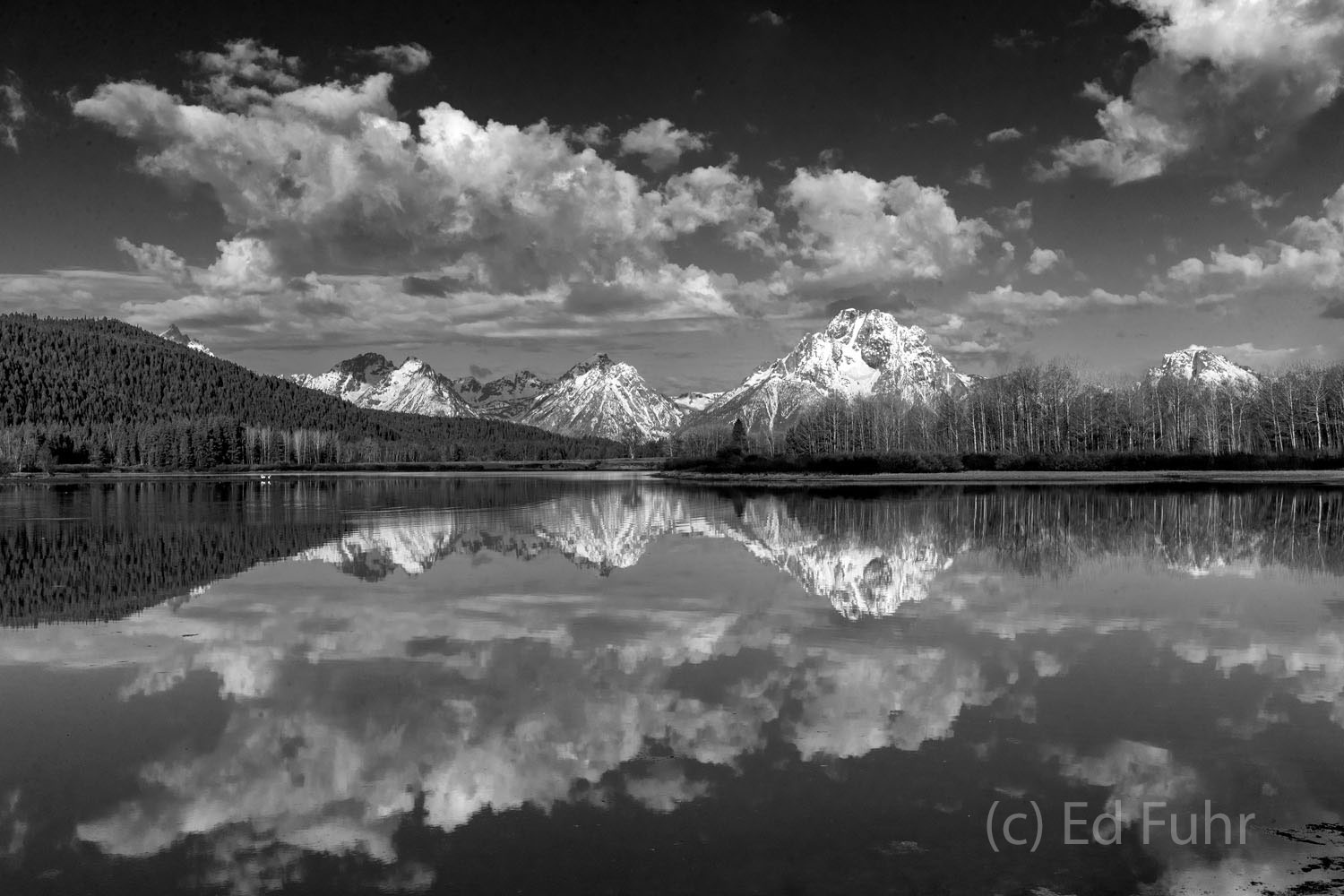 As the winds have calmed, the waters of Oxbow Bend become a perfect mirror of Mount Moran and the high clouds above.