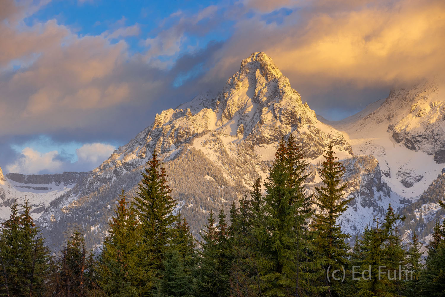 Even in late May, heavy snow continues to cloak the high peaks of the Teton range but the golden glow of this sunrise hints at...