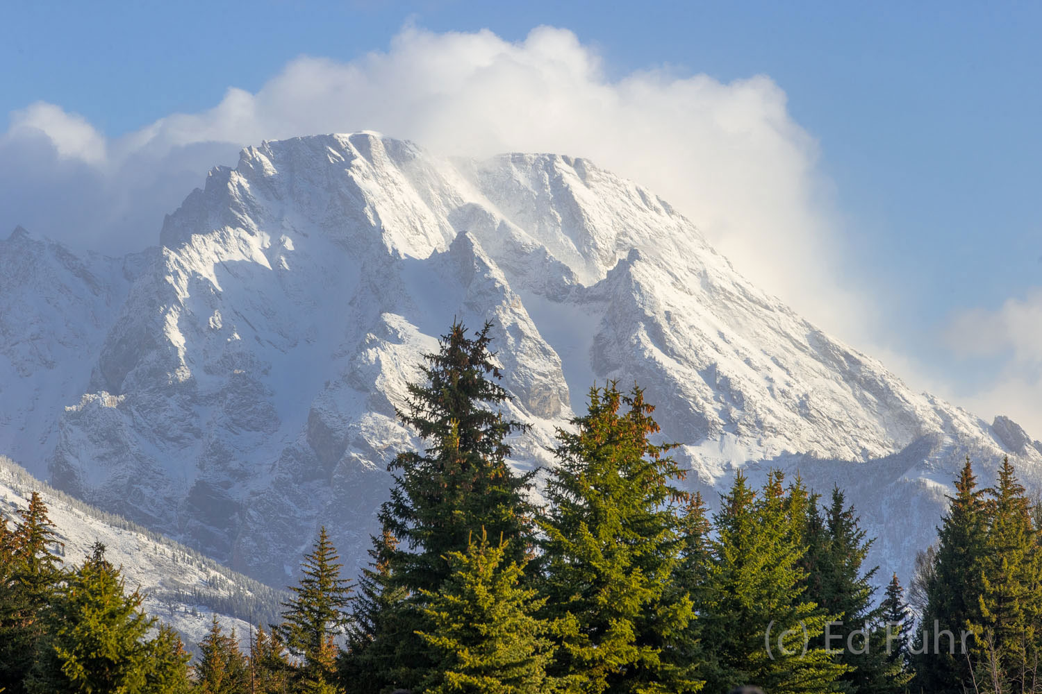 Mount Moran, still cloaked in winter's snow, looms high above the landscape.