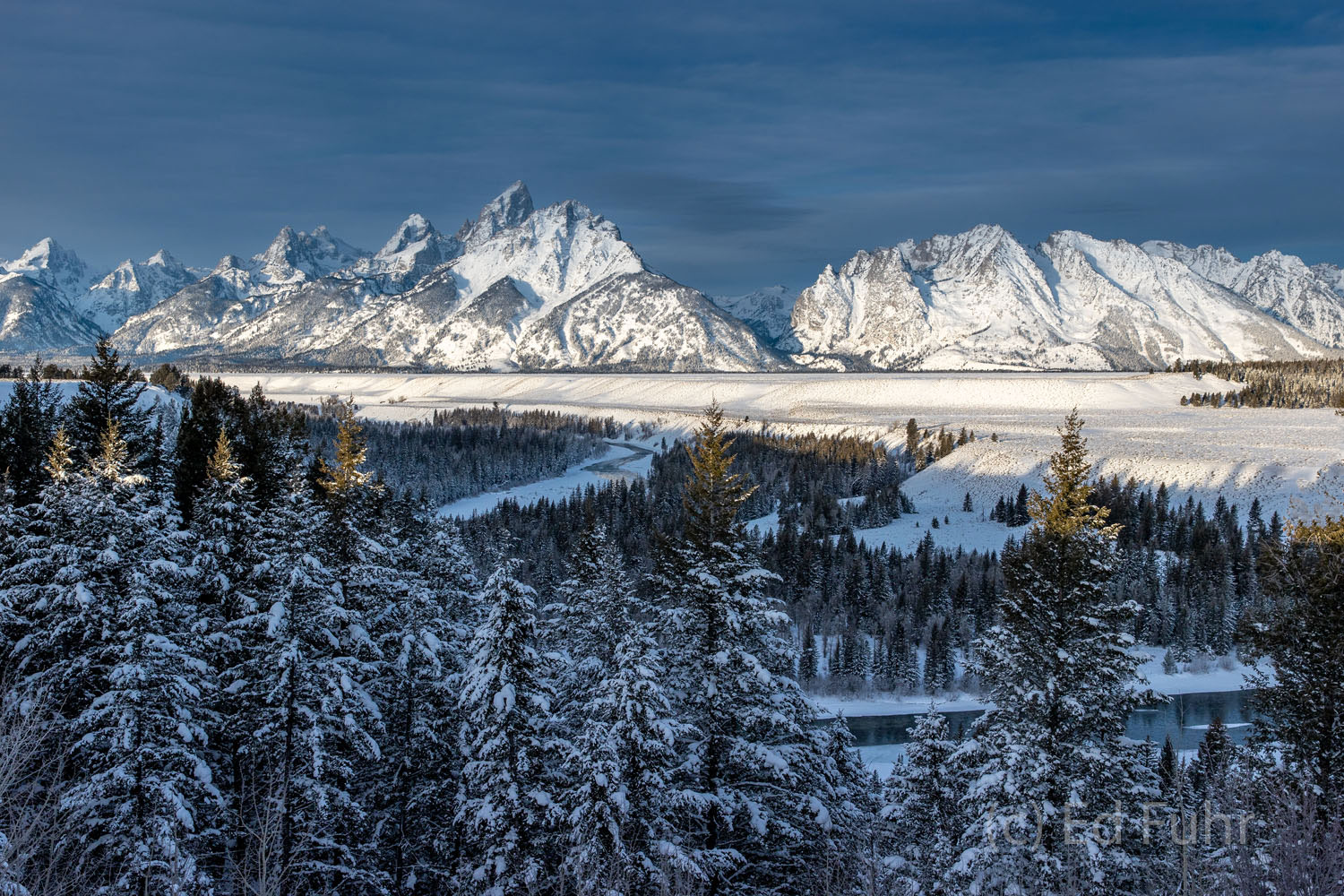 One of the great classic overlooks of the Snake River and Teton Range, the Snake River Overlook - before the pines were his tall...