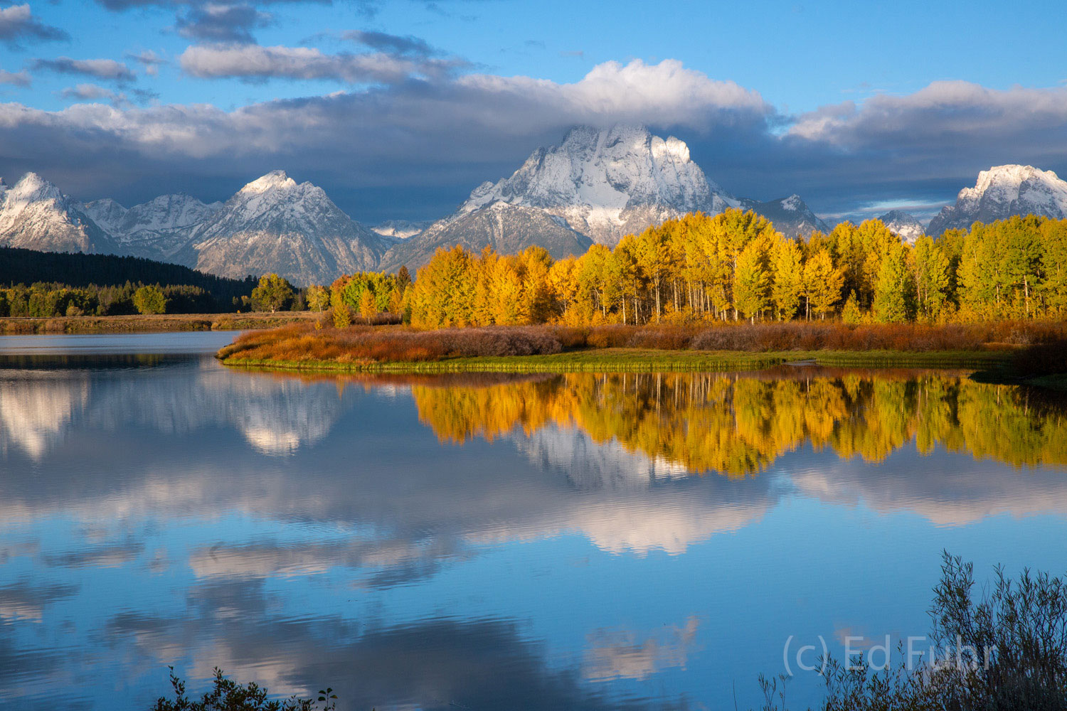 Perfection autumn, fall, grand teton national park, 2013, shutdown, Tetons, Grand Teton, oxbow bend, aspen