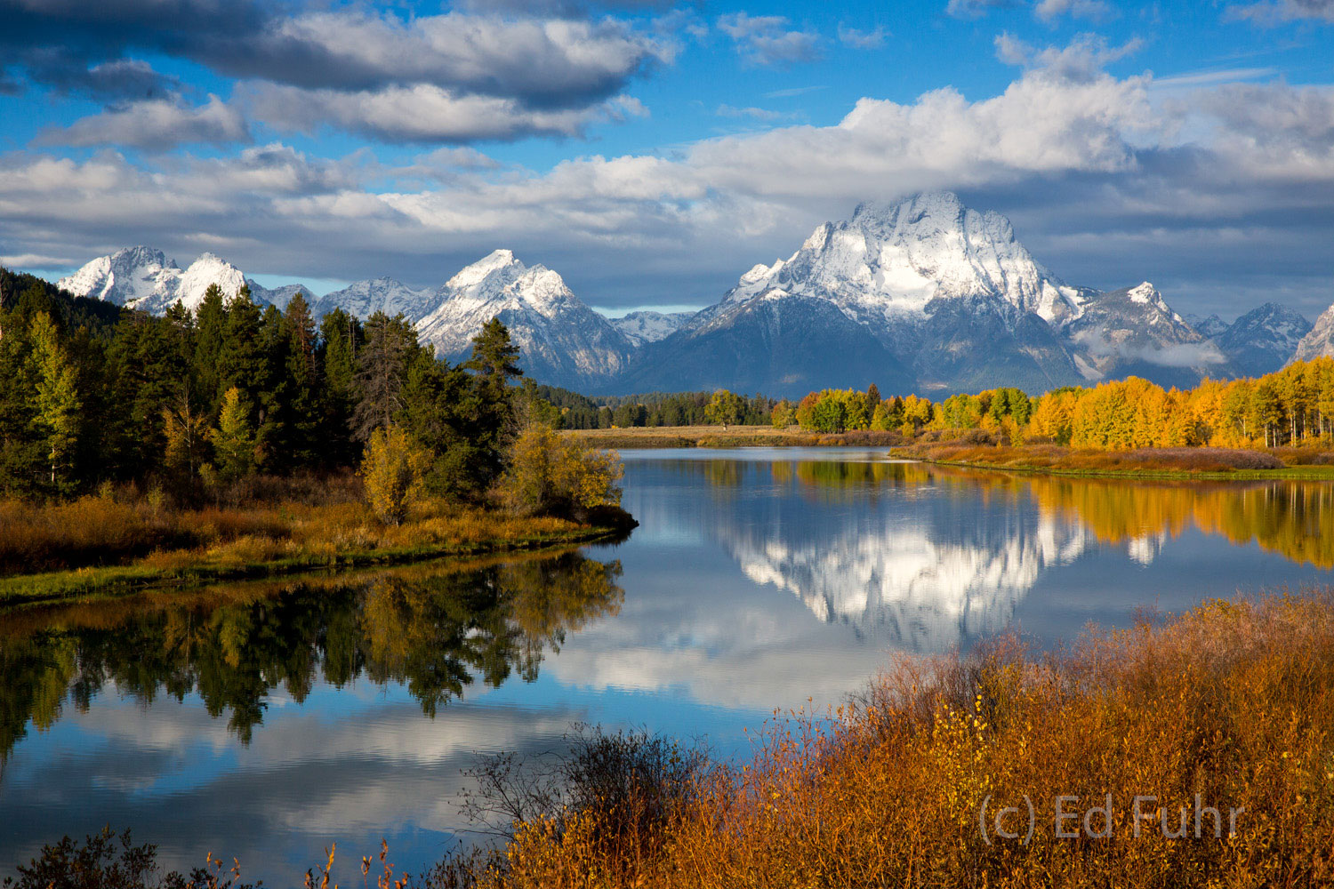 Fall colors have peaked just as a fresh snow has coated Mt. Moran.  The slow-moving waters of the Snake River at Oxbow Bend have...