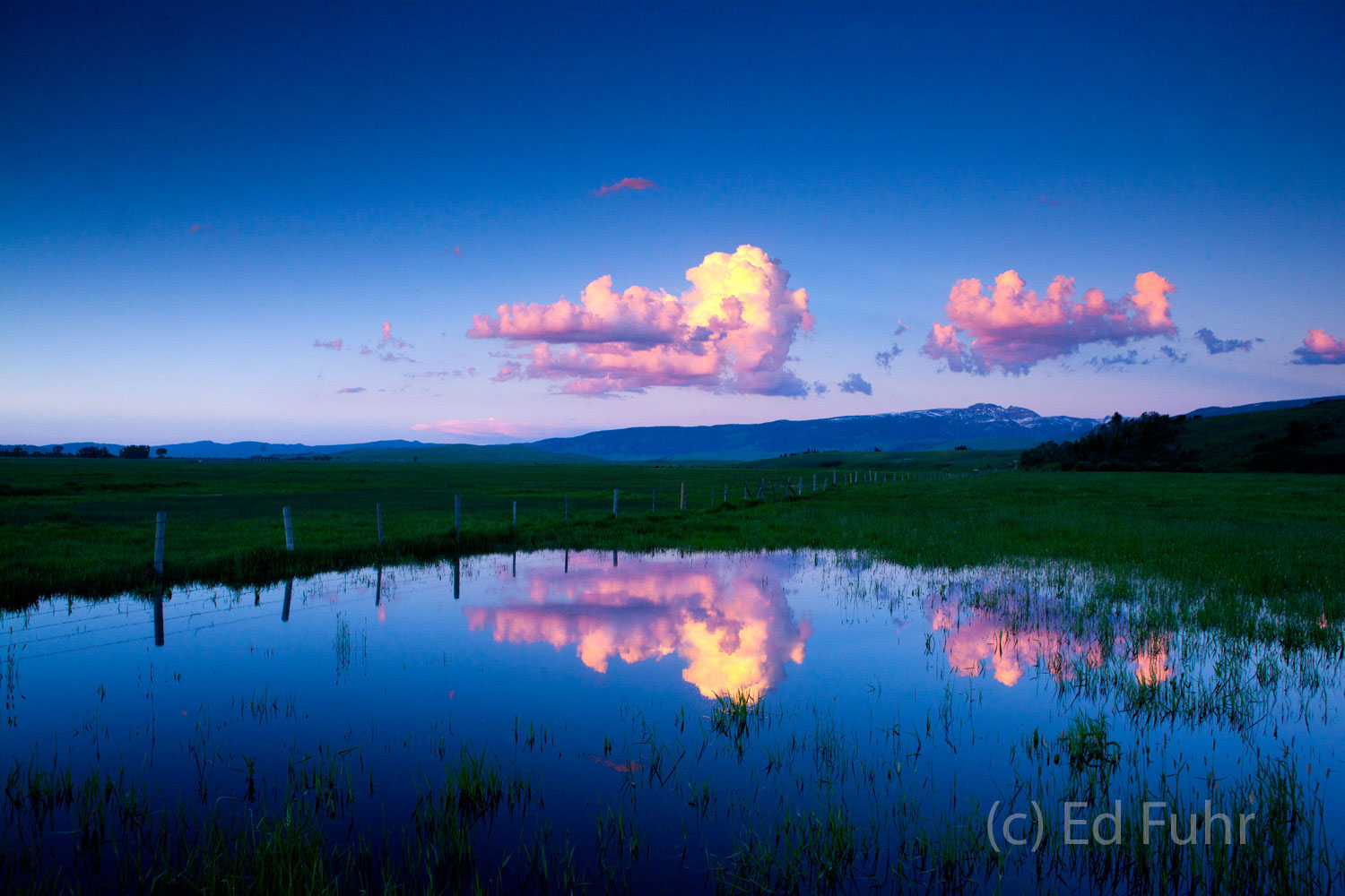 Spring Pond A pond of water, the final remnants of winter's heavy snows, is slow to drain in a spring meadow, reflecting twilight's fading...