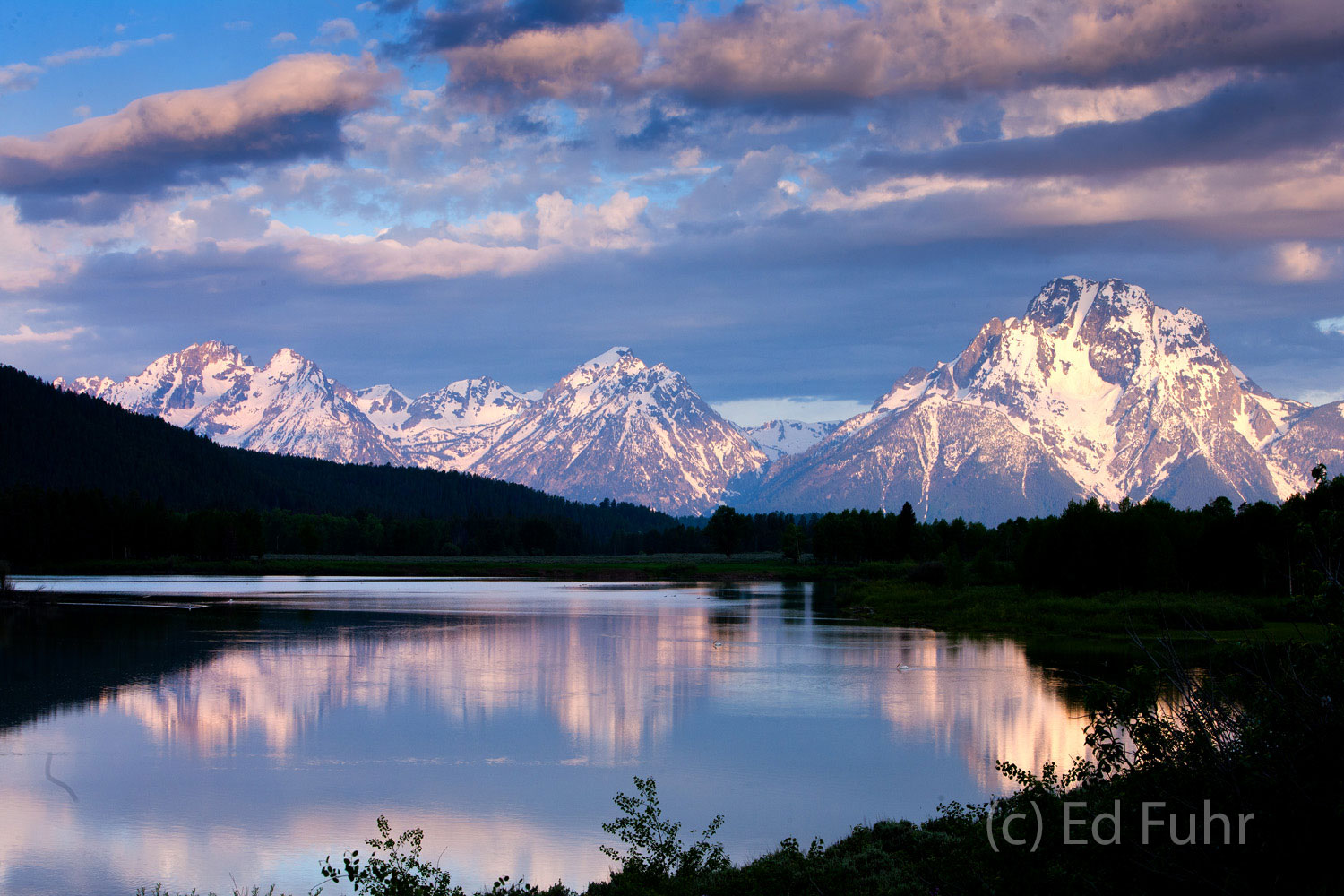 Oxbow Bend Calm A purple majesty at dawn at Oxbow Bend.